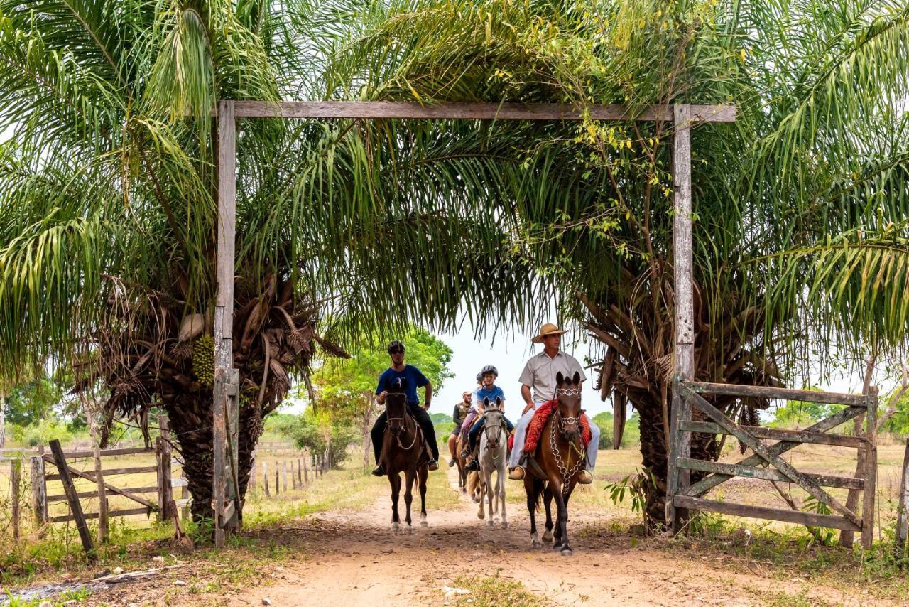 Pousada Fazenda Xaraes Todos os Santos Ngoại thất bức ảnh