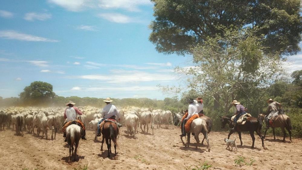 Pousada Fazenda Xaraes Todos os Santos Ngoại thất bức ảnh