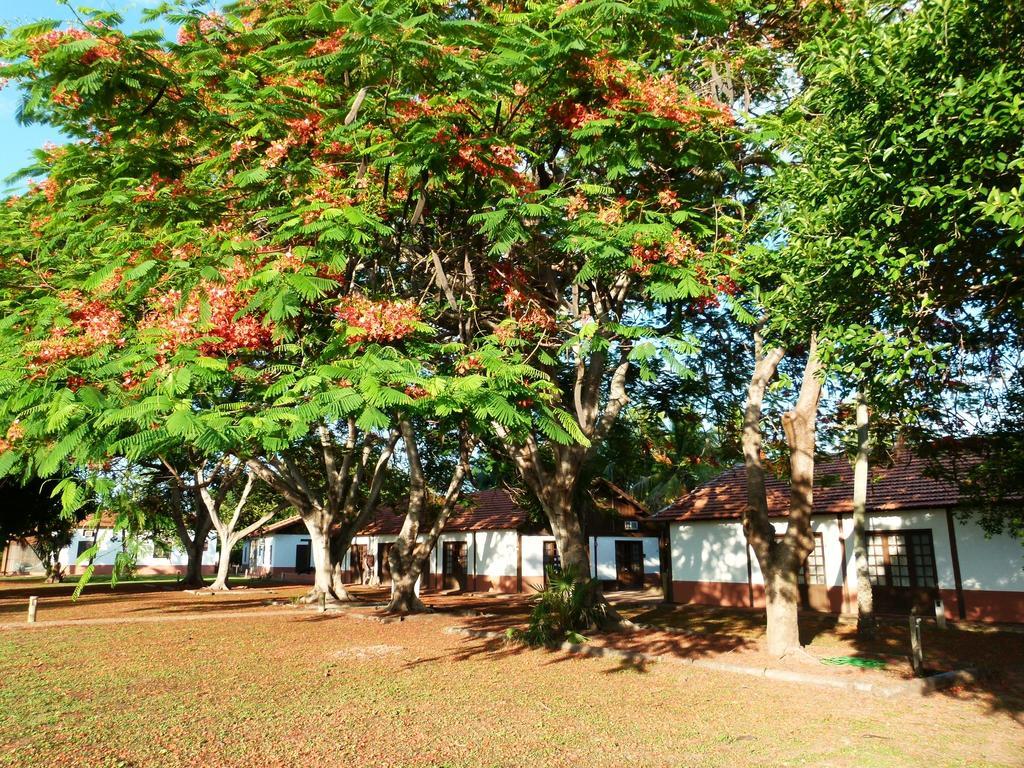 Pousada Fazenda Xaraes Todos os Santos Ngoại thất bức ảnh