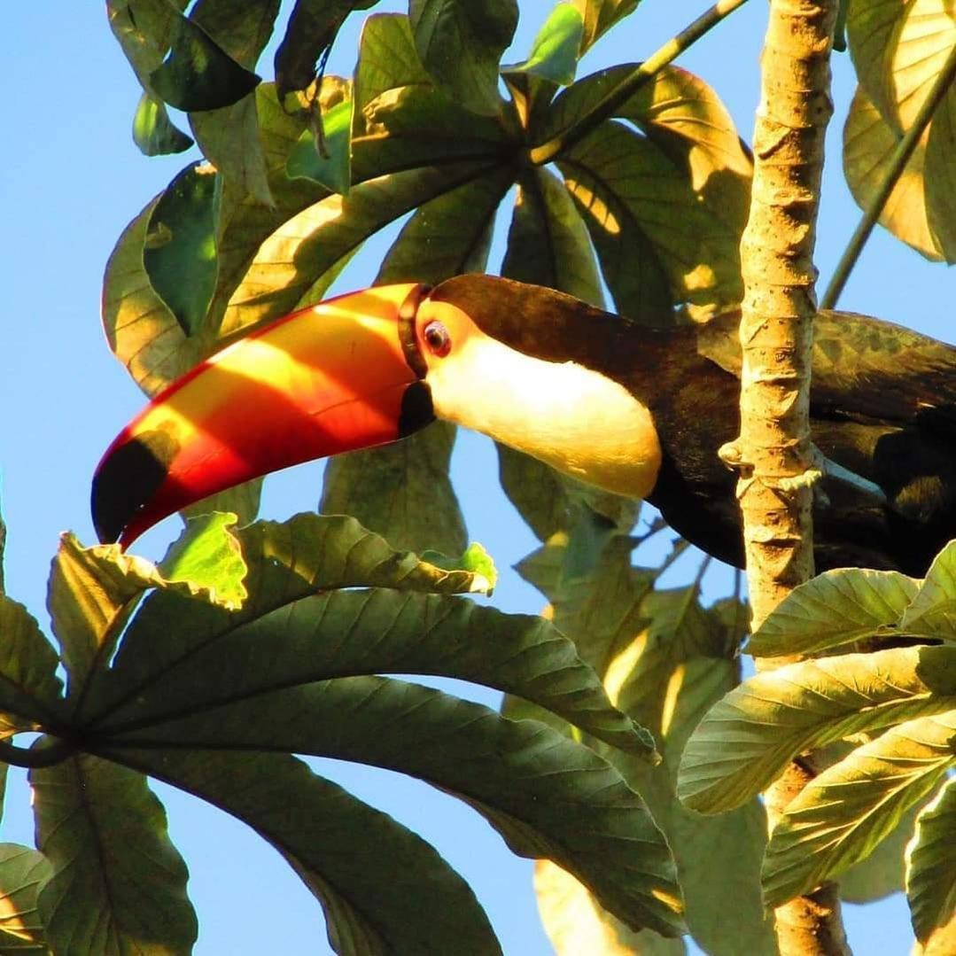 Pousada Fazenda Xaraes Todos os Santos Ngoại thất bức ảnh