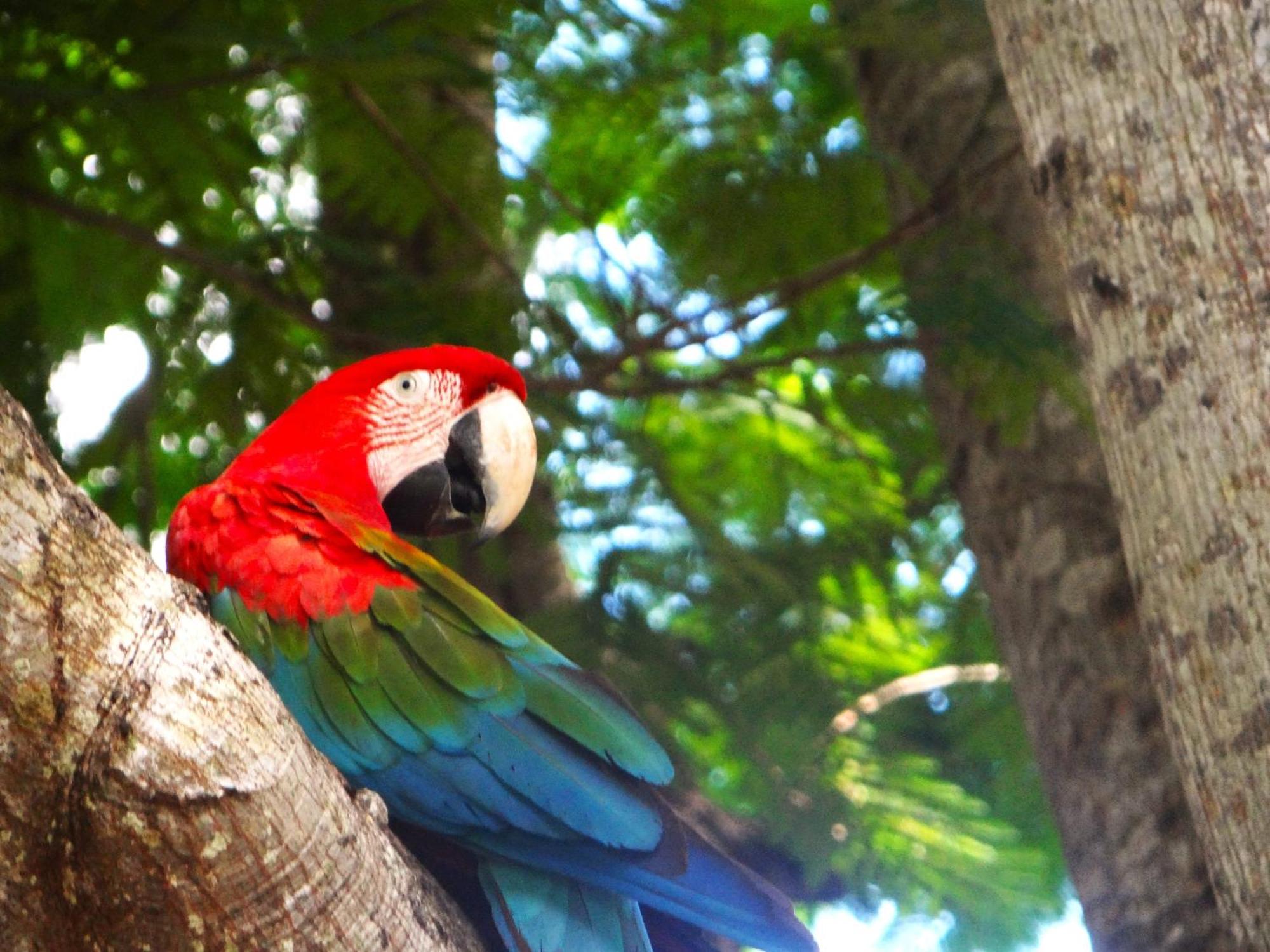 Pousada Fazenda Xaraes Todos os Santos Ngoại thất bức ảnh