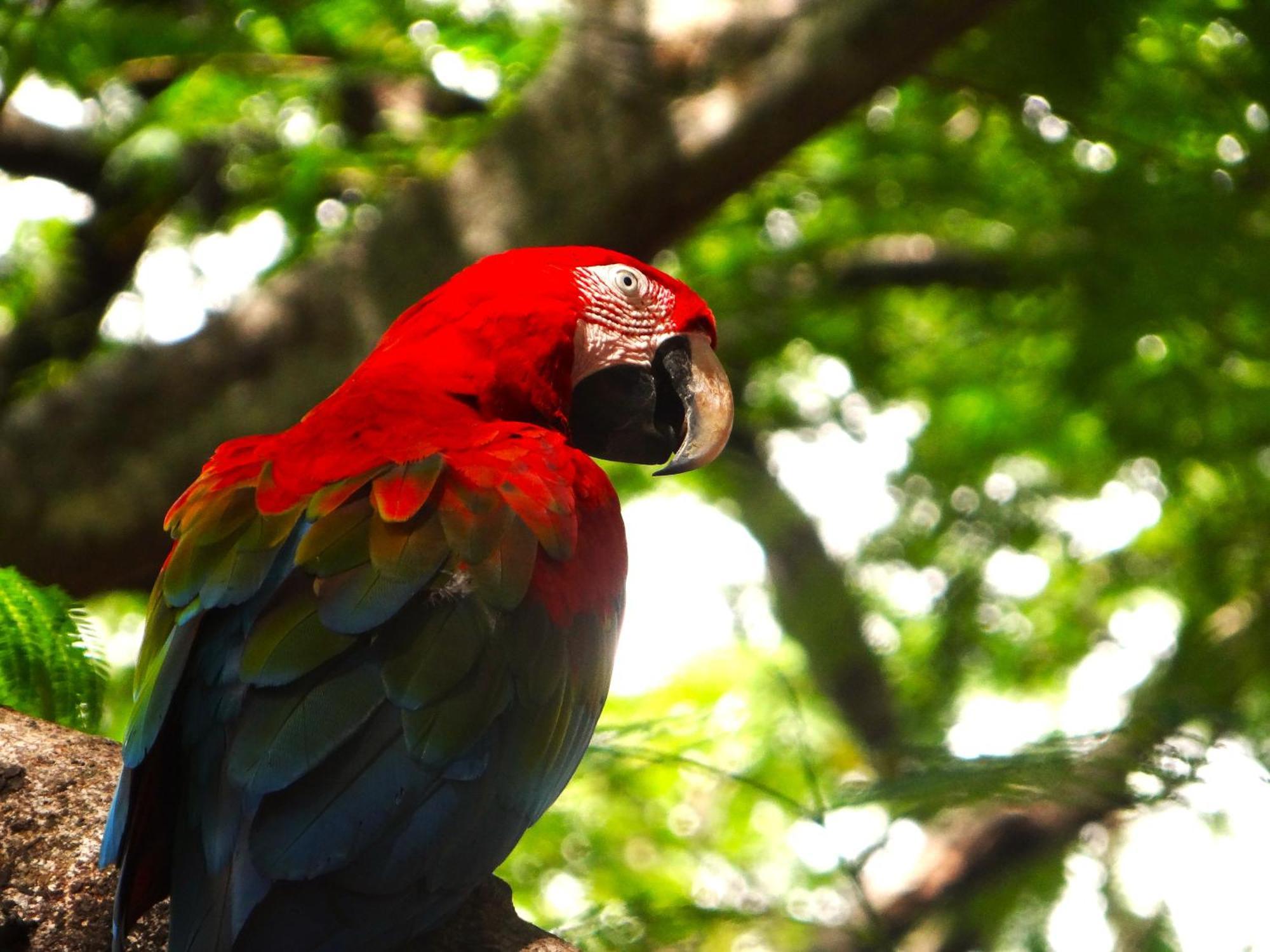 Pousada Fazenda Xaraes Todos os Santos Ngoại thất bức ảnh