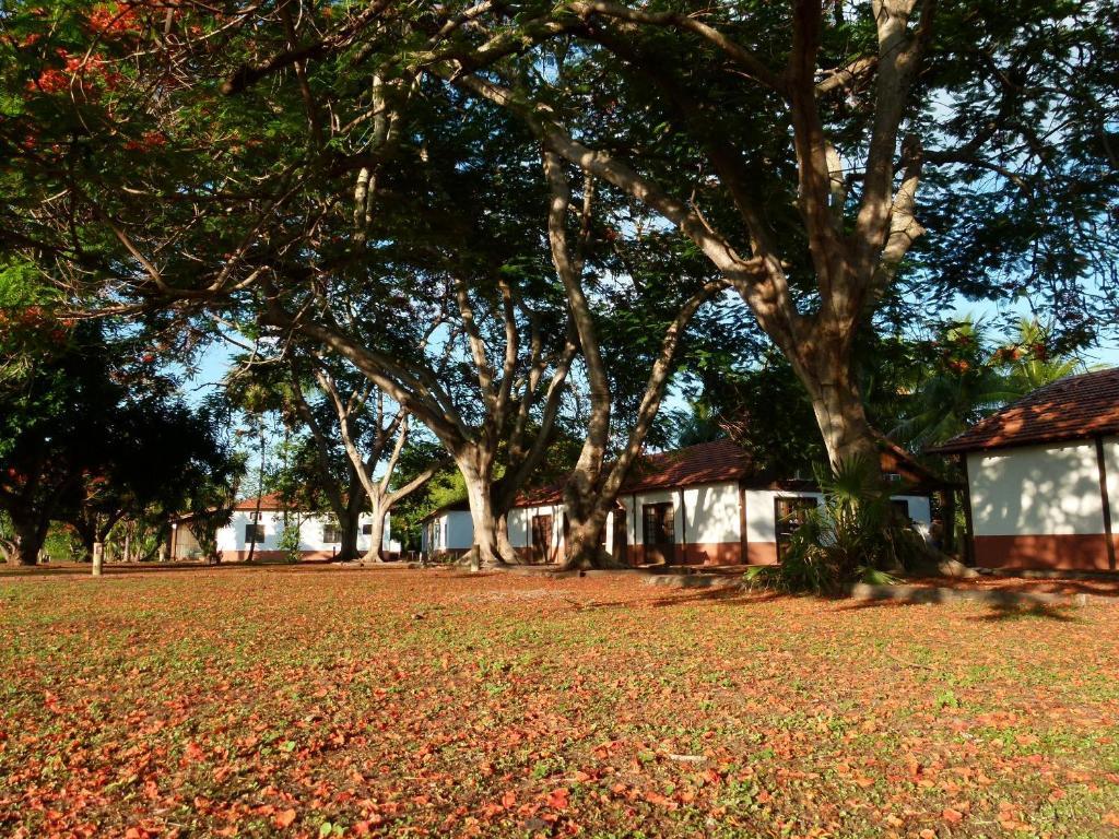 Pousada Fazenda Xaraes Todos os Santos Ngoại thất bức ảnh